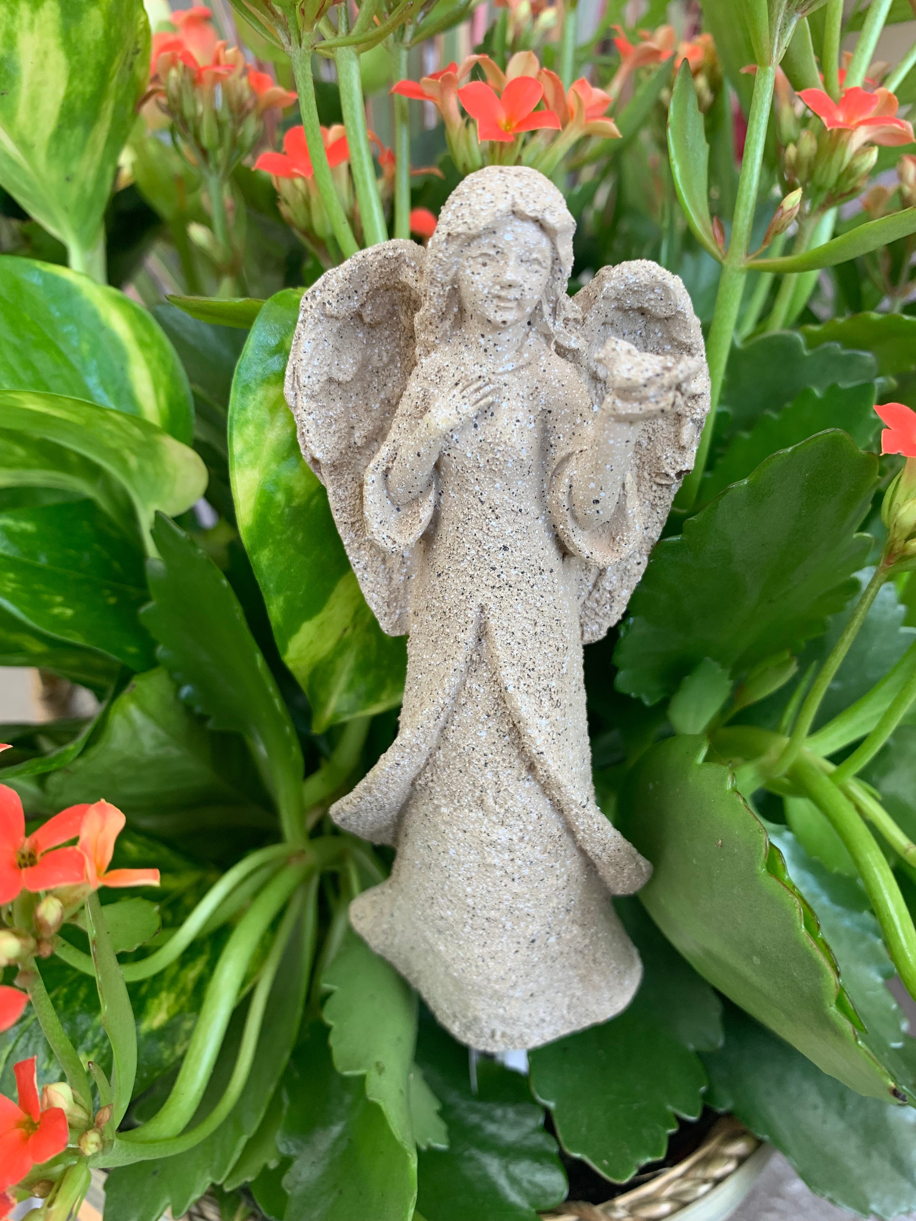 Angel with bird